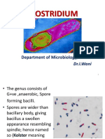 Clostridium: Department of Microbiology, AIMSR