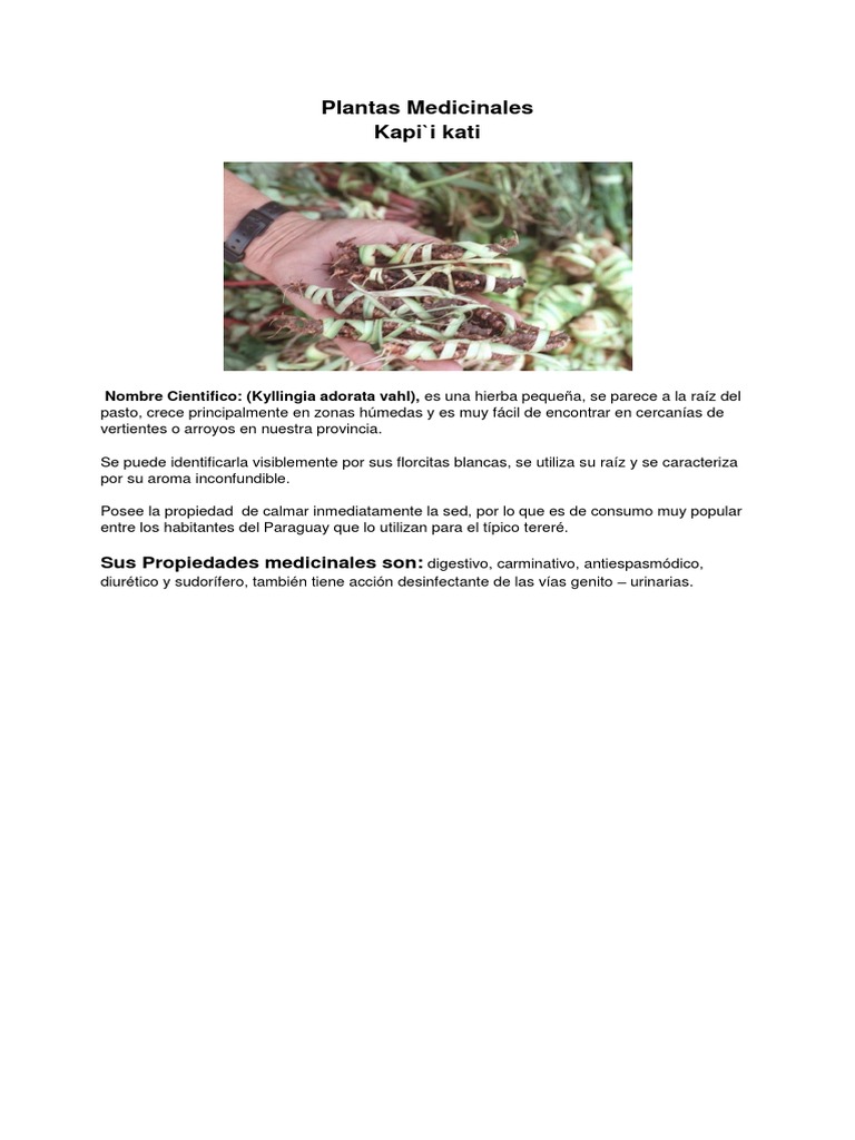 Kapi'i Kati | PDF | Hogar, jardinería y bricolaje | Salud y bienestar