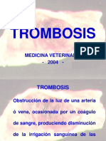 220211153-trombosis