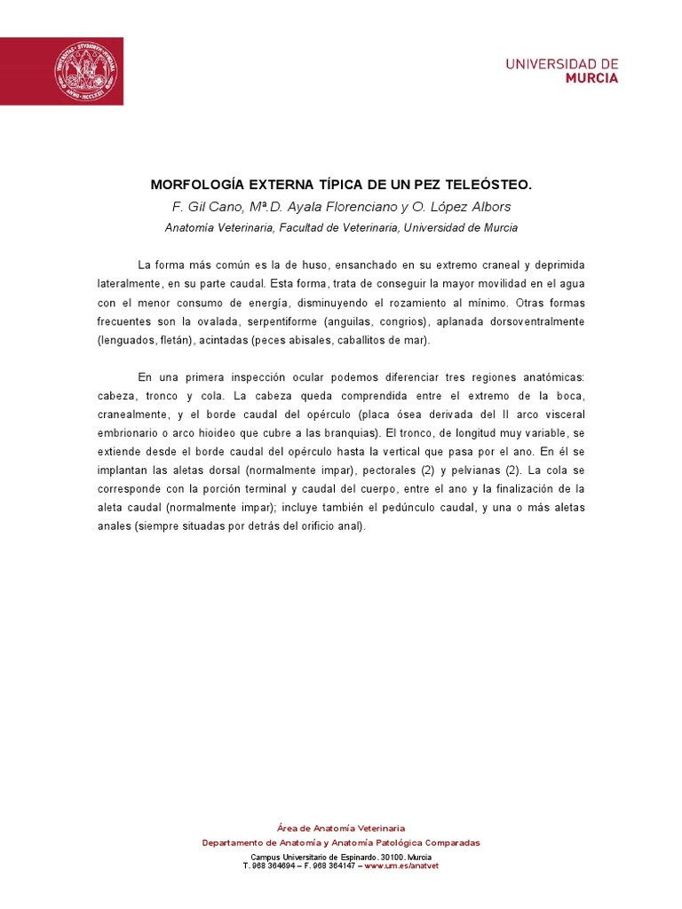 Morfologia Externa Tipica Pez Teleosteo | PDF | Piel | Epidermis