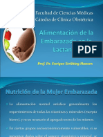 Alimentación de La Embarazada en La Lactancia 97 - 2003 - Prof. Strubing