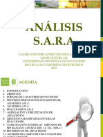 Análisis Sara 2017 1