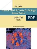 What Is Life? A Guide To Biology: Second Edition