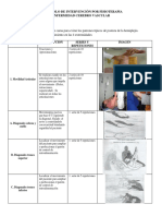 Protocolos Ejercicio Terpaeutico PDF