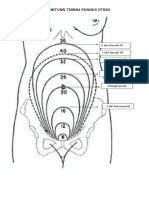 Menghitung Tinggi Fundus Uteri (TEWE)