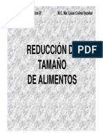red_tam_solidos_intro.pdf