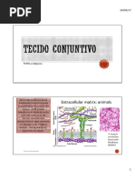 Tecido Conjuntivo Ilovepdf Compressed