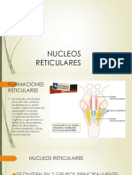 Nucleos Reticulares