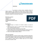 1-INFLAR-UN-GLOBO-SIN-SOPLAR.pdf