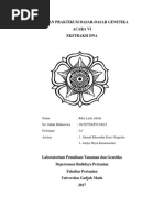Download Makalah Dasgen Ekstraksi DNA by Rika laila SN360648759 doc pdf