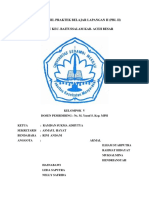 Laporan Hasil Praktek Belajar Lapangan Ii