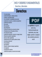 DerechosyDeberesFundamentales3 PDF