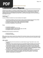 Cutaneous Larva Migrans