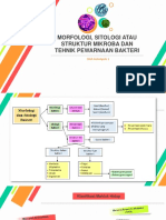 Morfologi, Sitologi, Dan Pewarnaan Bakteri