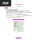 Download Materi Biologi Kelas X Semester 2 by dyah ayu SN360654499 doc pdf