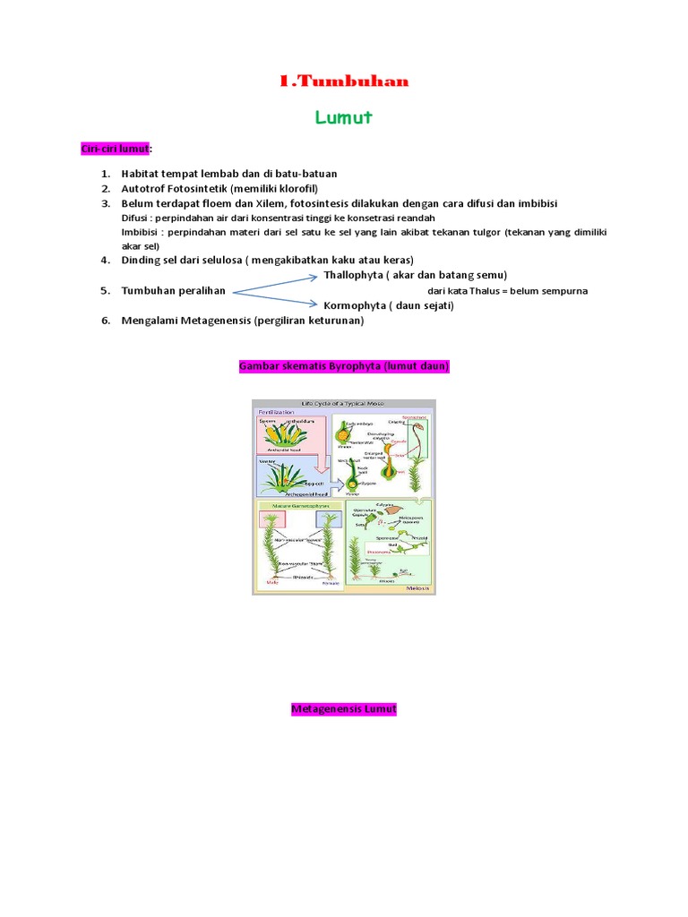 Materi Biologi Kelas X Semester 2