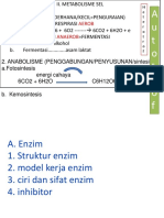 Power P Metabolisme