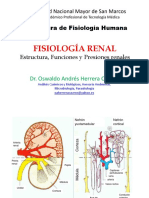 Fisiología Renal