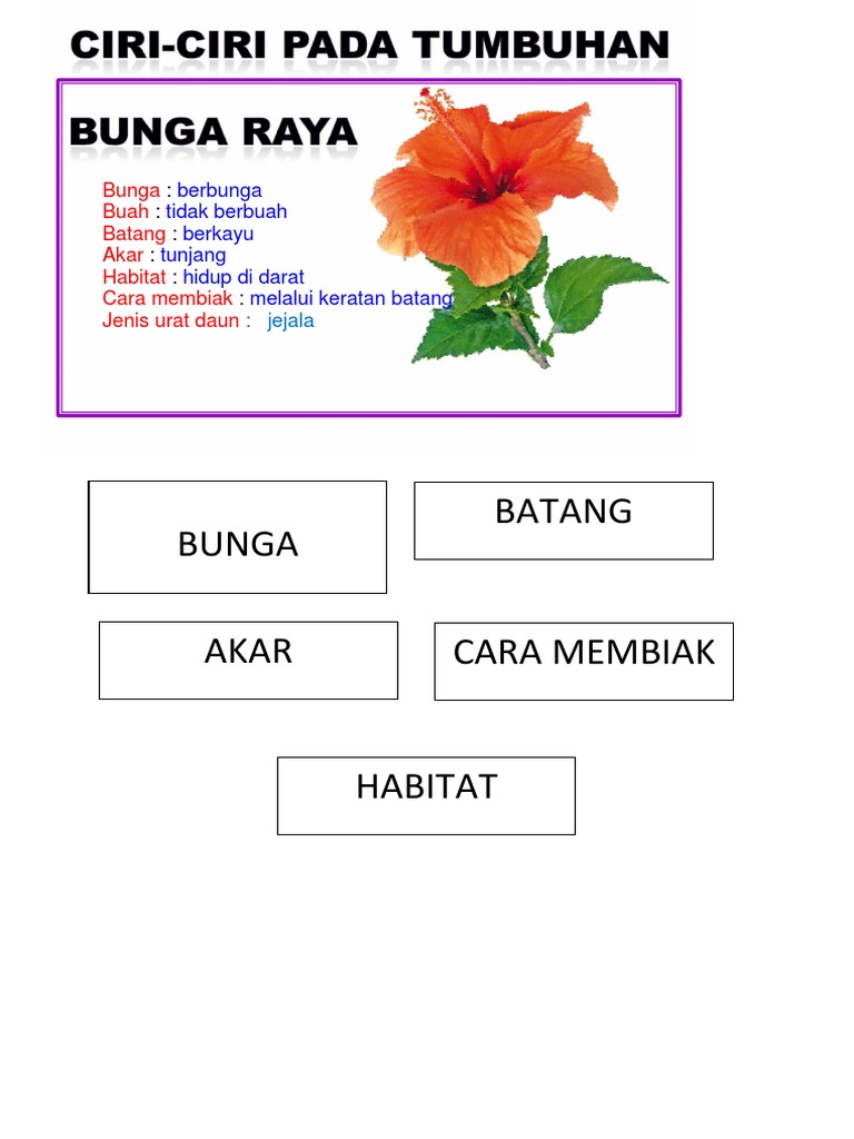 Ciri Bunga Raya | PDF