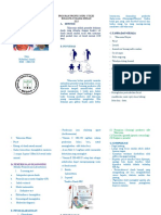 Leaflet Thalasemia