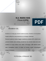 R.A. Nadia Haq 716.6.2.0795