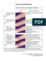 Phlebitis Guidlines