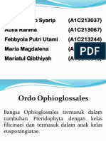 ORDO Ophioglossales ....pptx