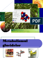 Metabolismul Glucidelor New