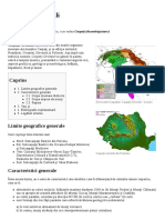 Carpații Orientali PDF