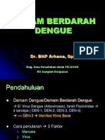 DHF 2 DR Arhana