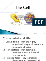1the Cell