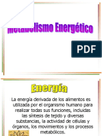 Metabolismo Energético 2014