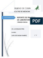 Reporte de Practica de Laboratorio