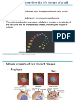 CH 2 Lab First Cell Cycle Power Point 2015