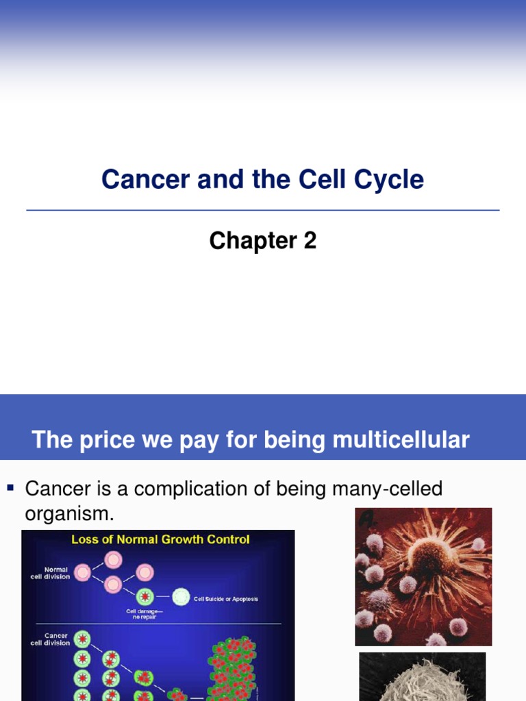 Understanding Cancer and Cell Cycle Dynamics | PDF | Cell Signaling ...