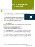 Analisis de La Vulnerabilidad y Capacidad