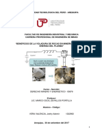 Trabajo Derecho Minero y Energético