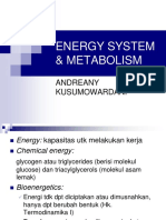Energy System & Metabolisme