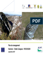 PM Semenic Complet PDF