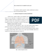 Anatomia Aparatului Cardiovascular.pdf