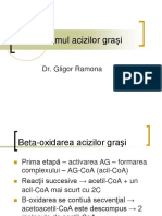 206211301-Metabolismul-acizilor-graşi.pdf