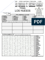 Sopaybingo LOSHUESOS3°sec