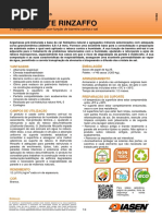 FT Diathonite Rinzaffo PT