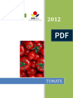 Proyecto Competitividad Tomate
