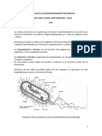 celulas procarioticas.pdf