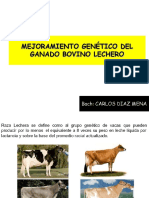 Genética Del Ganado Bovino Lechero