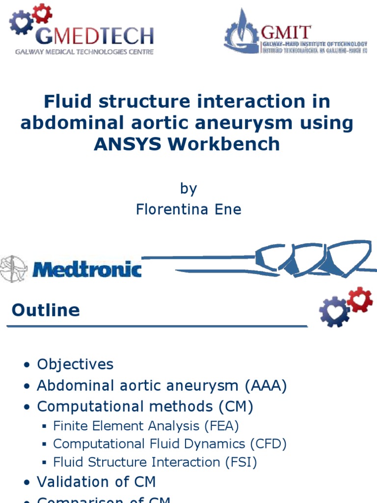 Fene Ansys Presentation | PDF | Computational Fluid Dynamics | Fluid ...