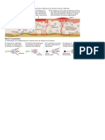 2013 Infco Urticaria Cronica PDF