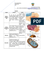 Organelos de La Celula