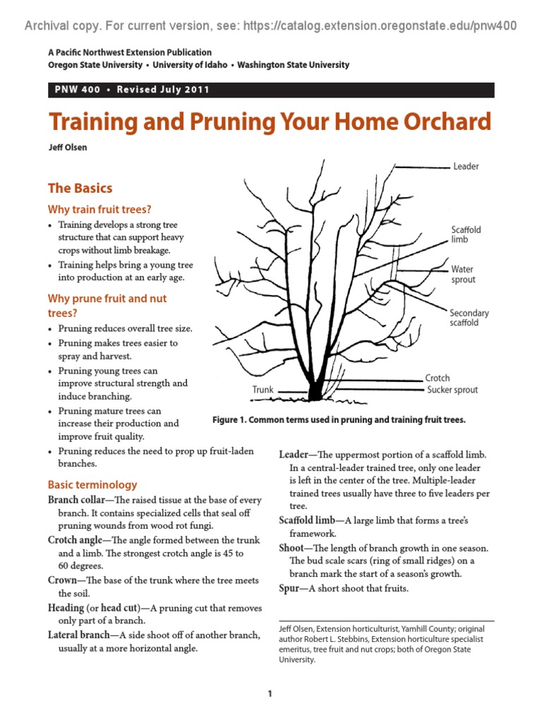 PNW 400 | PDF | Pruning | Trees